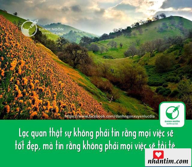 Lạc quan thật sự không phải tin rằng mọi việc sẽ tốt đẹp, mà tin rằng không phải mọi việc sẽ tồi tệ