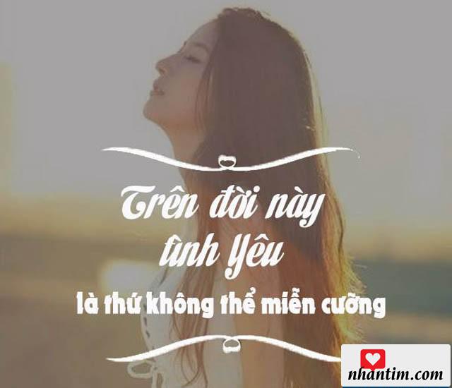 Trên đời này, tình yêu là thứ không thể miễn cưỡng