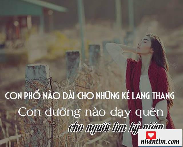 Con phố nào dài cho những kẻ lang thang. Con đường nào dạy quên cho người tìm kỷ niệm