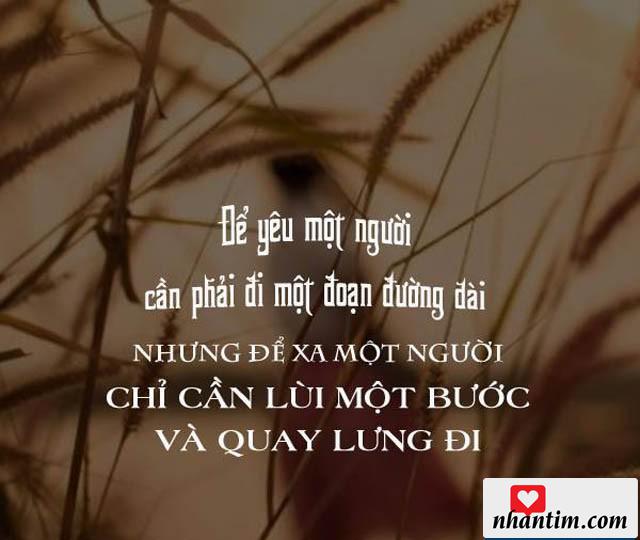 Để yêu một người cần phải đi một chặng đường dài, nhưng để xa một người chỉ cần lùi một bước và quay lưng đi