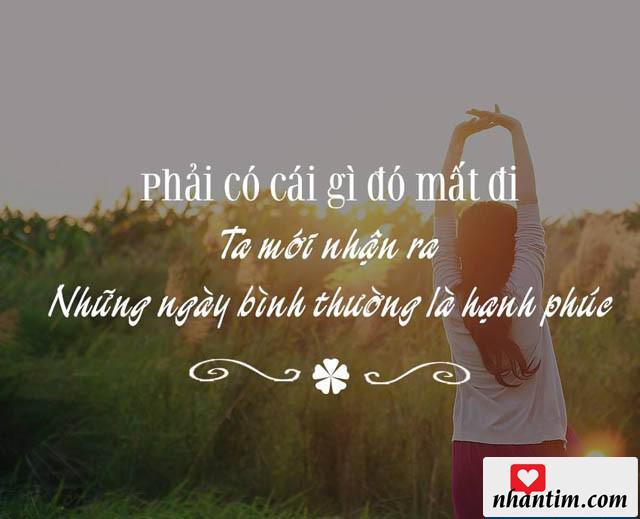 Phải có cái gì đó mất đi, ta mới nhận ra. Những ngày bình thường là hạnh phúc