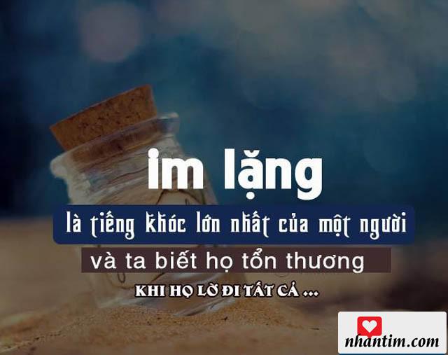 Im lặng là tiếng khóc lớn nhất của một người và ta biết họ tổn thương khi họ lờ đi tất cả