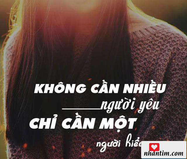 Không cần nhiều người yêu, chỉ cần một người hiểu