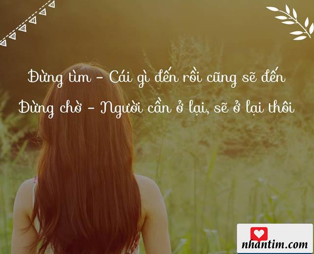 Đừng tìm – cái gì đến rồi cũng sẽ đến