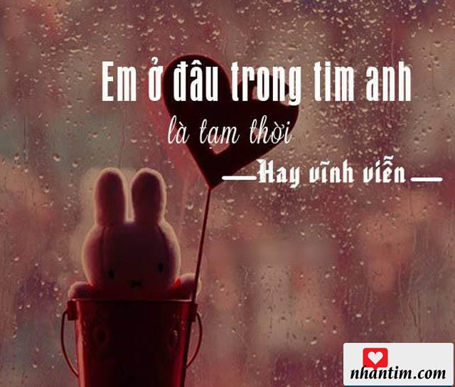 Em ở đâu trong tim anh, là tạm thời, hay vĩnh viễn