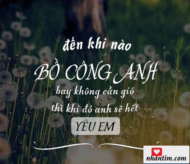 Đến khi nào bồ công anh bay không cần gió thì khi đó anh sẽ hết yêu em