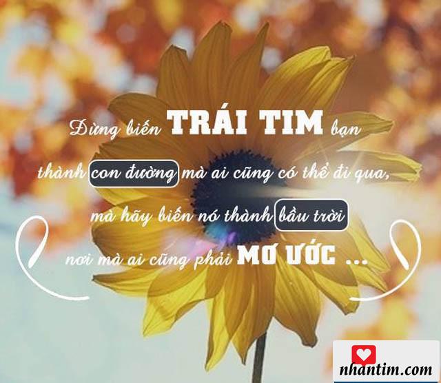 Đừng biến trái tim bạn thành con đường mà ai cũng có thể đi qua mà hãy biến nó thành bầu trời nơi mà ai cũng phải mơ ước