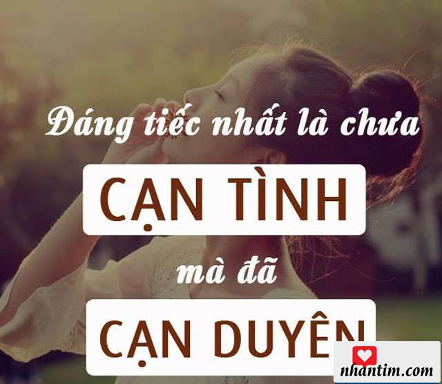 Đáng tiếc nhất là chưa cạn tình mà đã cạn duyên