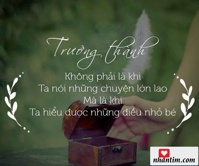 Trưởng thành không phải là khi ta nói những chuyện lớn lao mà là khi ta hiểu được những điều nhỏ bé