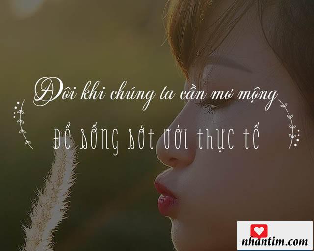 Đôi khi chúng ta cần phải mơ mộng để sống sót với thực tế