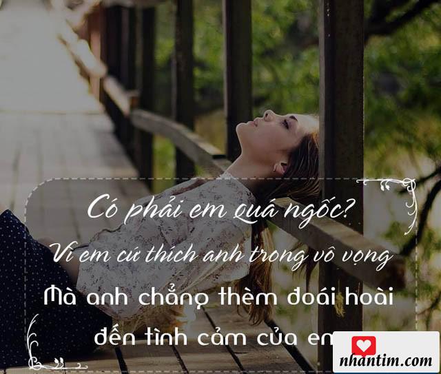 Có phải em quá ngốc? Vì em cứ thích anh trong vô vọng mà anh chẳng thèm đoái hoài đến tình cảm của em