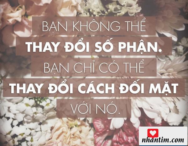 Bạn không thể thay đổi được số phận, bạn chỉ có thể thay đổi cách đối mặt với nó