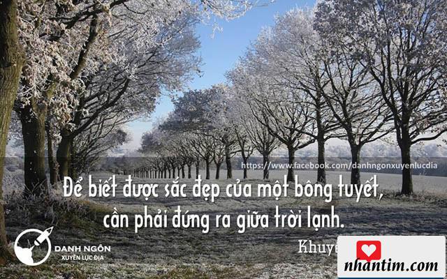 Để biết được sắc đẹp của một bông tuyết, cần phải đứng ra giữa trời lạnh