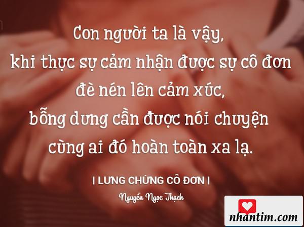 Con người ta là vậy, khi thực sự cảm nhận được sự cô đơn đè nén lên cảm xúc, bỗng dưng cần được nói chuyện với ai đó hoàn toàn xa lạ