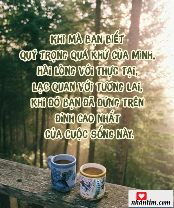 Khi bạn biết quý trọng quá khứ của mình, hài lòng với thực tại, lạc quan với tương lai, khi đó bạn sẽ đứng trên đỉnh cao nhất của cuộc sống này