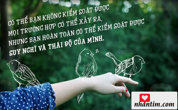 Có thể bạn không thể kiểm soát được mọi trường hợp xảy ra nhưng bạn hoàn toàn có thể kiểm soát được suy nghĩ và thái độ của mình