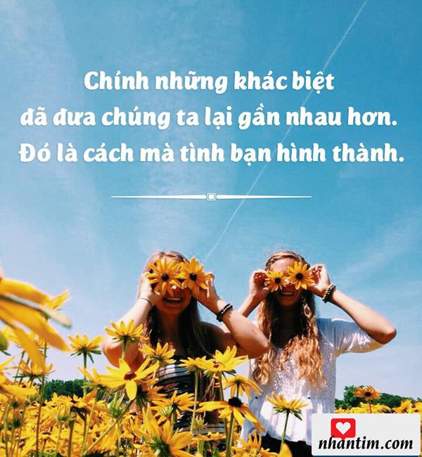 Chính những khác biệt đã đưa chúng ta lại gần nhau hơn, đó là cách mà tình bạn hình thành