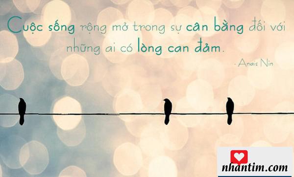 Cuộc sống rộng mở trong sự cân bằng với những ai có lòng can đảm