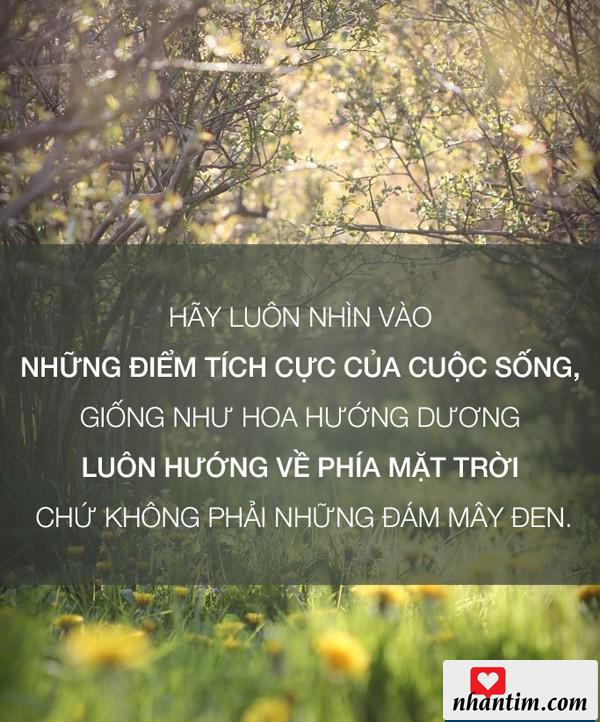 Hãy luôn nhìn vào những điểm tích cực của cuộc sống, giống như hoa hướng dương, luôn hướng về phía mặt trời chứ không phải những đám mây đen