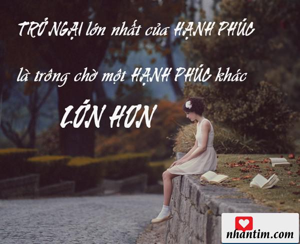 Trở ngại lớn nhất của hạnh phúc là trông chờ một hạnh phúc khác lớn hơn