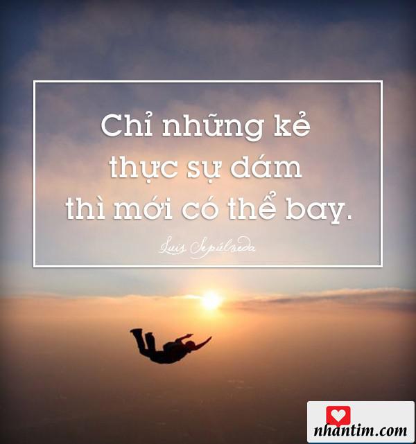 Chỉ có những kẻ thực sự dám mới có thể bay