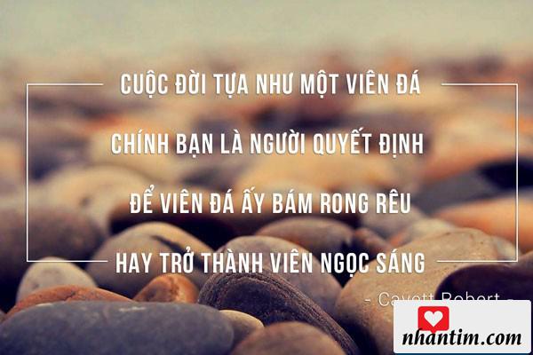 Cuộc đời tựa như một viên đá, chính bạn là người quyết định để viên đá ấy bám rong rêu hay trở thành viên ngọc sáng