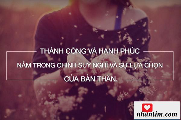 Thành công và hạnh phúc nằm trong chính suy nghĩ và sự lựa chọn của bản thân