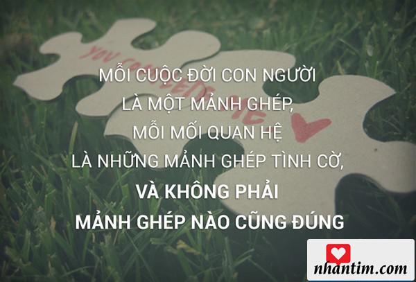 Mỗi cuộc đời con người là một mảnh ghép, mỗi mối quan hệ là những mảnh ghép tình cờ, và không phải mảnh ghép nào cũng đúng