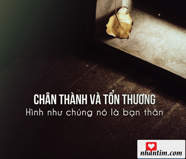 Chân thành và tổn thương, hình như chúng nó là bạn thân