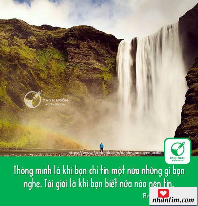 Thông minh là khi bạn chỉ tin một nửa những gì bạn nghe. Tài giỏi là khi bạn biết nửa nào nên tin