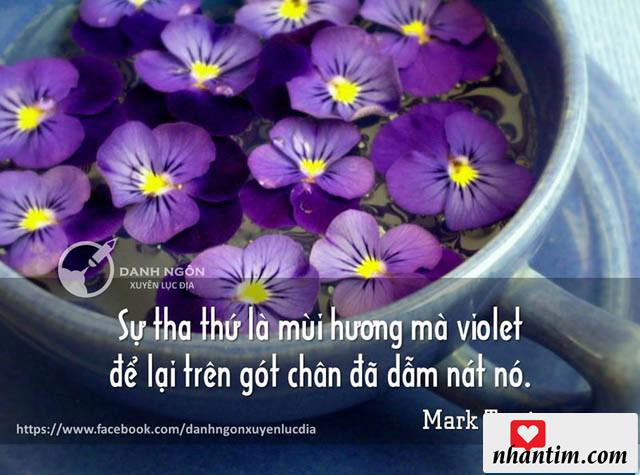 Sự tha thứ là mùi hương mà violet để lại trên gót chân đã giẫm nát nó