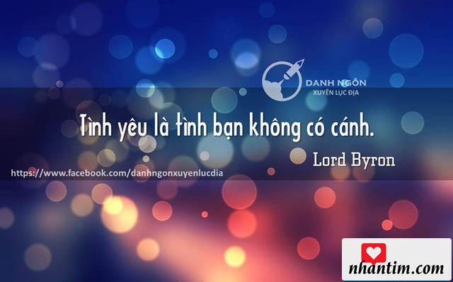 Tình yêu là tình bạn không có cánh