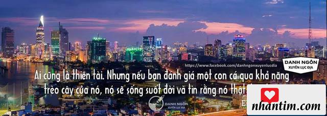 Ai cũng là thiên tài. Nhưng nếu bạn đánh giá một con cá qua khả năng trèo cây của nó, nó sẽ sống suốt đời và tin rằng nó thật đần độn