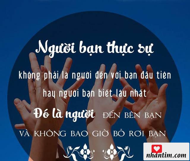 Người bạn thật sự không phải là người đến với bạn đầu tiên hay người bạn biết lâu nhất. Đó là người đến bên bạn và không bao giờ bỏ rơi bạn