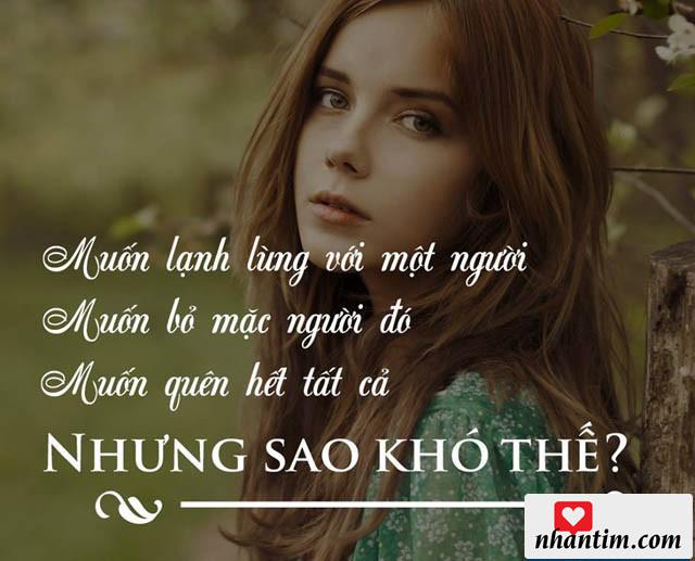 Muốn lạnh lùng với một người. Muốn bỏ mặc người đó. Muốn quên hết tất cả. Nhưng sao khó thế?