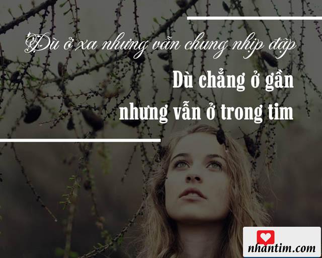 Dù ở xa nhưng vẫn chung nhịp đập, dù chẳng ở gần nhưng vẫn ở trong tim