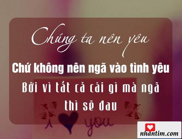 Chúng ta nên yêu chứ không nên ngã vào tình yêu bởi vì tất cả cái gì mã ngã thì sẽ đau