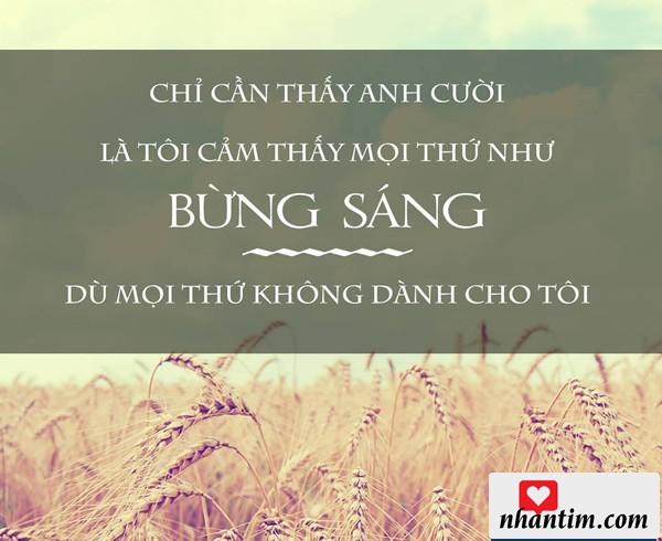 Chỉ cần nhìn thấy anh cười là tôi cảm thấy mọi thứ như bừng sáng dù mọi thứ không dành cho tôi