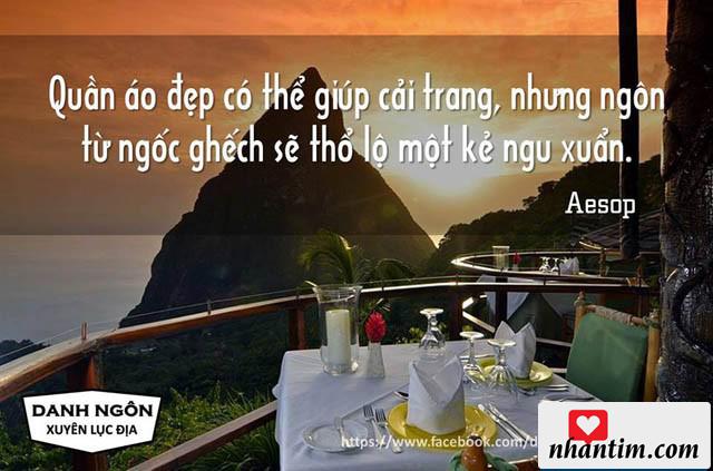 Quần áo đẹp có thể giúp cải trang, nhưng ngôn từ ngốc nghếch sẽ thổ lộ một kẻ ngu xuẩn