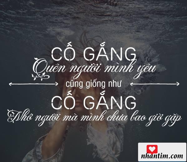 Cố gắng quên người mình yêu cũng giống như cố gắng nhớ người mà mình chưa bao giờ gặp.