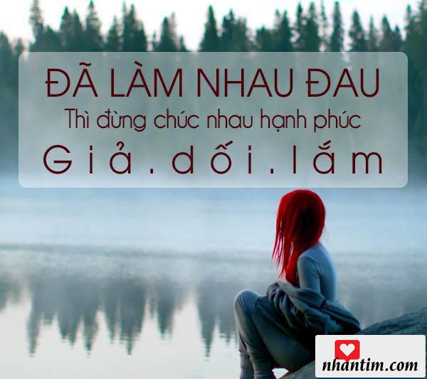 Đã làm nhau đau thì đừng chúc nhau hạnh phúc. Giả dối lắm!