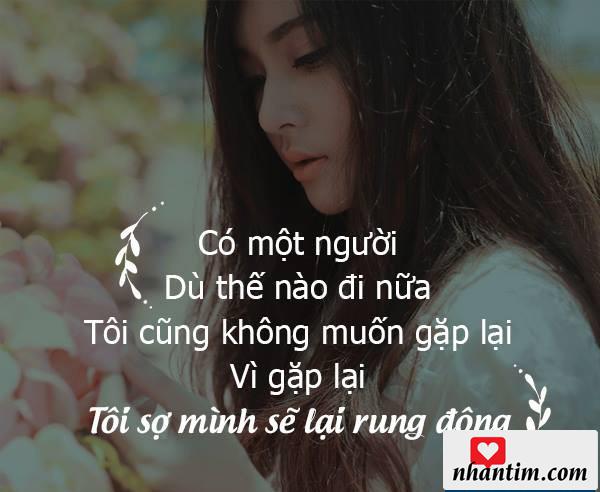 Có một người dù thế nào đi nữa tôi cũng không muốn gặp lại vì gặp lại tôi sợ mình sẽ lại rung động.