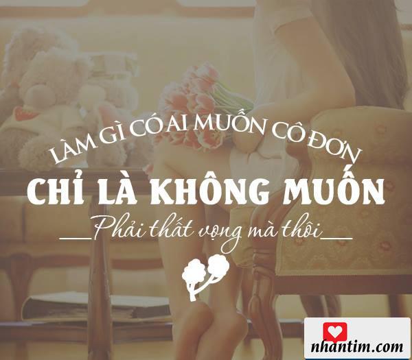 Làm gì có ai muốn cô đơn, chỉ là không muốn phải thất vọng mà thôi.