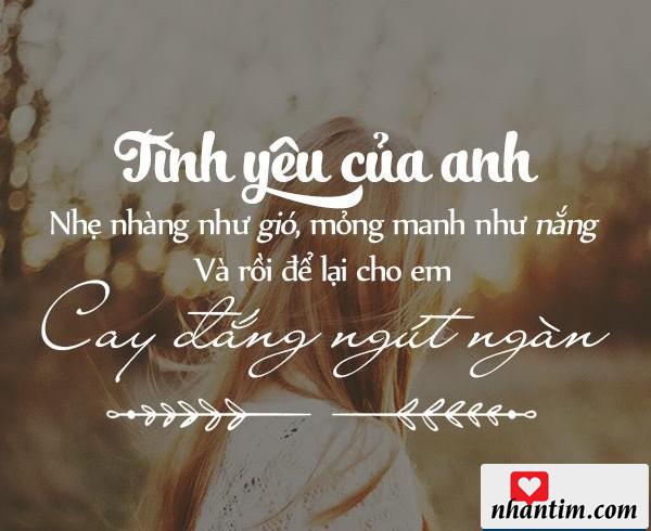 Tình yêu của anh nhẹ nhàng như gió, mỏng manh như nắng, và rồi để lại cho em cay đắng ngút ngàn.