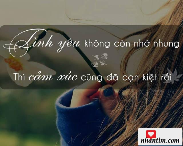 Tình yêu không còn nhớ nhung thì cảm xúc cũng đã cạn kiệt rồi