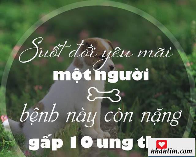 Suốt đời yêu một người, bệnh này còn nặng gấp 10 ung thư