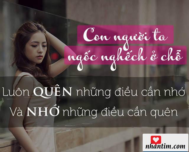 Con người ta ngốc nghếch ở chỗ luôn quên những điều cần nhớ và nhớ những điều cần quên