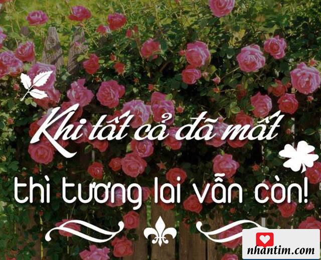 Khi tất cả đã mất thì tương lai vẫn còn