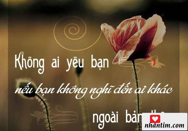 Không ai yêu bạn nếu bạn không nghĩ đến ai khác ngoài bản thân