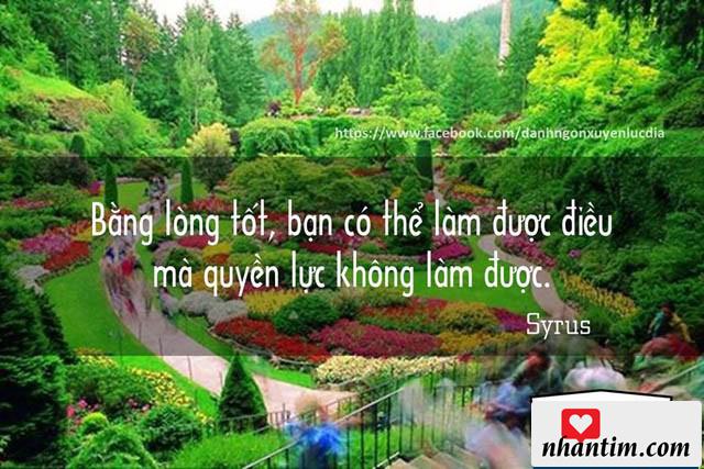 Bằng lòng tốt, bạn có thể làm được điều mà quyền lực không làm được